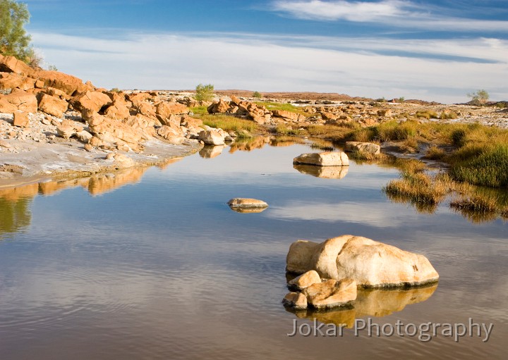 Lake Eyre (Day 2)_20070407_192.jpg - Springs near the Oodnadatta Track